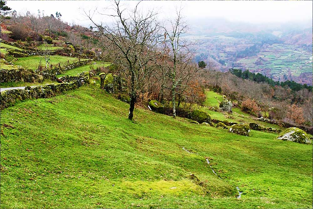 Ferreiros de Tendais